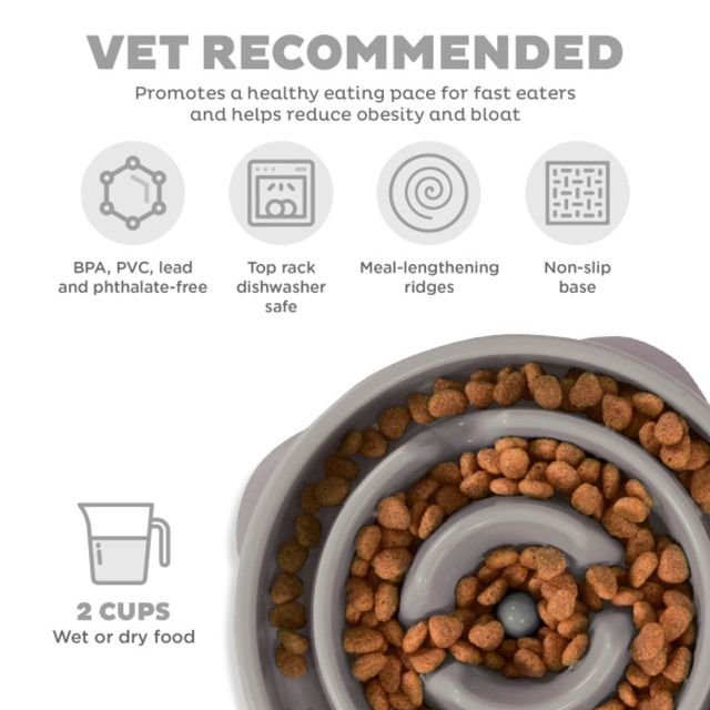 Outward Hound Fun Feeder Slo Bowl Slow Feeder Dog Bowl, Gray