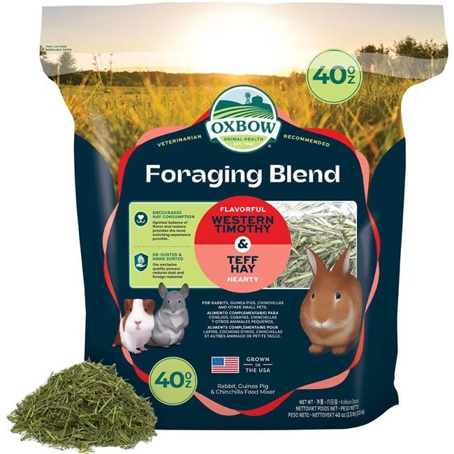Oxbow Foraging Hay Blend Teff & Western Timothy Hay 40oz