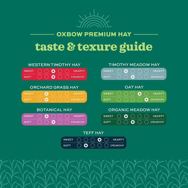 Oxbow Foraging Hay Blend Teff & Western Timothy Hay 40oz