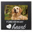 Pearhead Forever In My Heart Pet Memorial Photo Frame