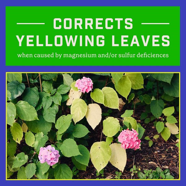 Epsom Salt - Pennington, 7lb.