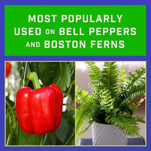 Epsom Salt - Pennington, 7lb.