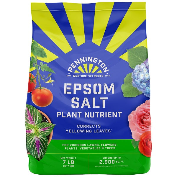 epsom salt for snake plant Epsom Salt