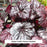 Black Sea Coral Bells, 1-Gallon