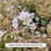 Heaven Scent Jacob's Ladder, 1-Gallon