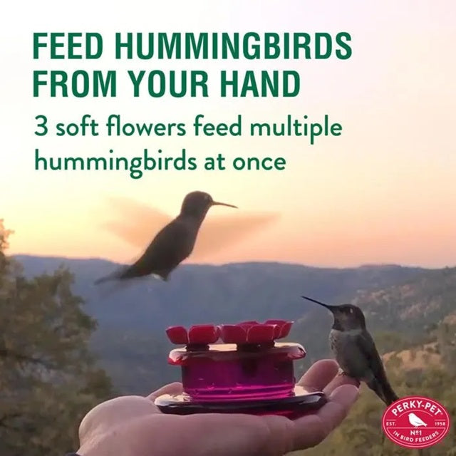 Perky-Pet Handheld & Tabletop Hummingbird Feeder 9100