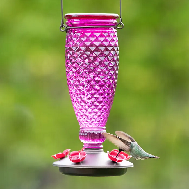 Perky-Pet® Hummingbird Nectar Ready-to-Use Clear 16 oz Can