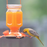 Perky-Pet® Orange Oriole Nectar Ready-to-Use 16 oz Can