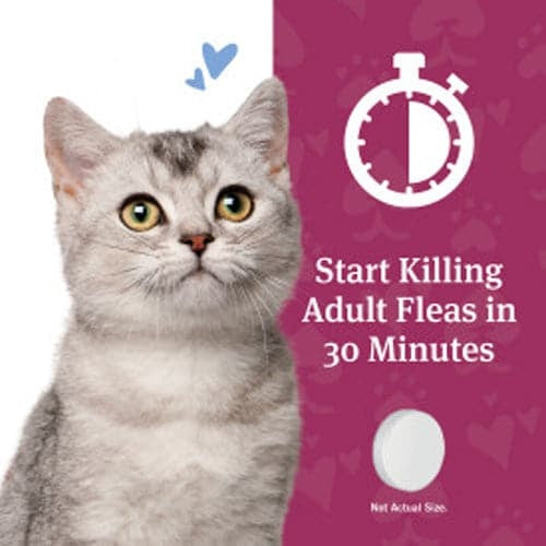 CAPACTION® Oral Flea Treatment for Cats 2-25 lbs, 6 Count