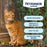 PetArmor Extend Flea & Tick Collar for Cats