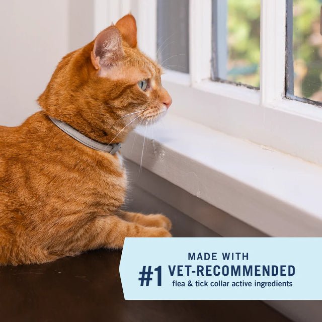 PetArmor Extend Flea & Tick Collar for Cats