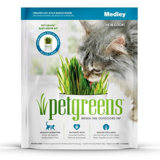 Pet Greens Medley Self-Grow Pet Grass Kit