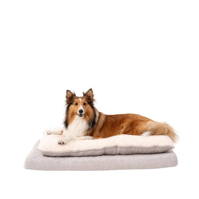 Orthopedic Pillow Top Bed, Khaki