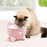 Catit PIXI Fountain Light Pink