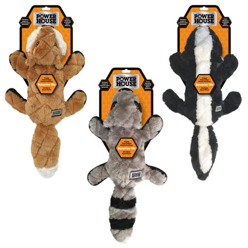 Power House Plush Dog Toy Assorted Large