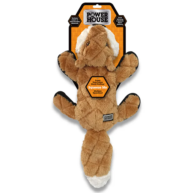 Power House Plush Dog Toy Assorted Large