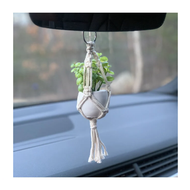 Mini Plant Hanger
