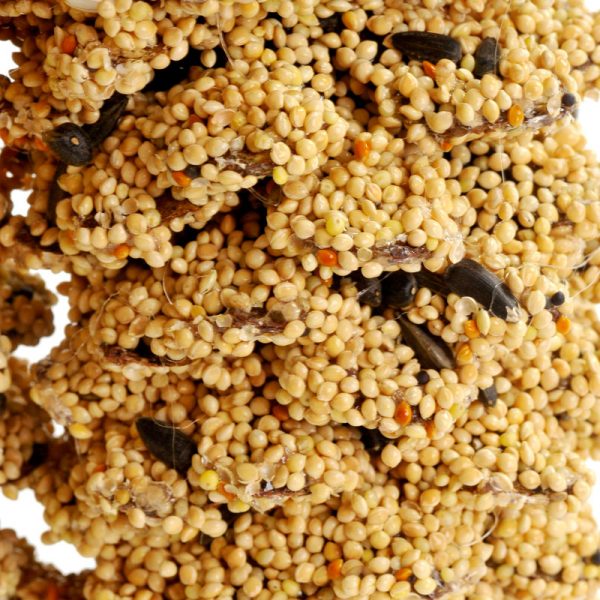 Mr. Bird Giant Pine Cone Bird Seed Treat