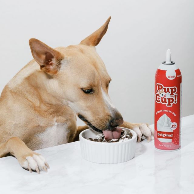 Pup Cup Frozen Whipped Cream Treat for Dogs, Peanut Butter Flavor