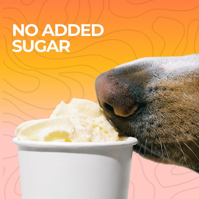 Pup Cup Frozen Whipped Cream Treat for Dogs, Peanut Butter Flavor