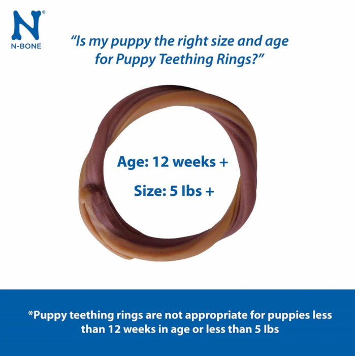 N-Bone® Puppy Teething Rings Pumpkin Flavor - Pack of 6
