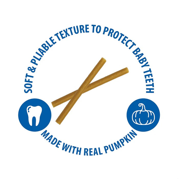 N-Bone® Puppy Teething Sticks Pumpkin Flavor, 3.74 oz