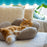 Purrfect Petals Cat Bed Tan