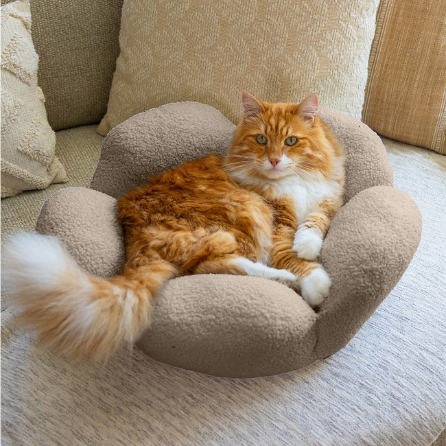 Purrfect Petals Cat Bed Tan
