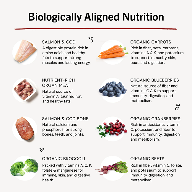 Stella & Chewy's Savory Salmon & Cod Freeze Dried Meal Mixers 3.5oz