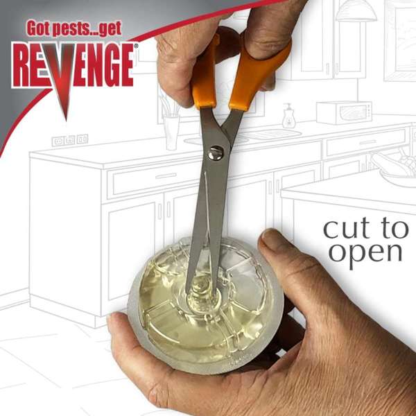 Ant Killer Liquid Bait, 3 pack - Revenge