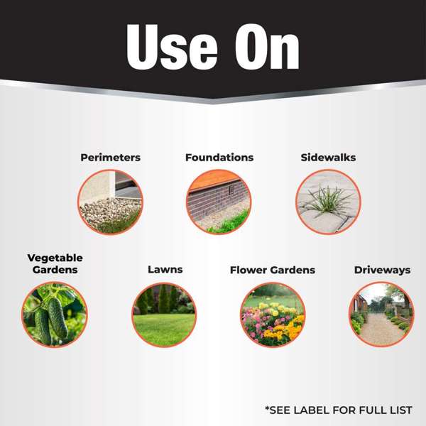 Revenge Termite & Carpenter Ant Control Concentrate 32 oz.