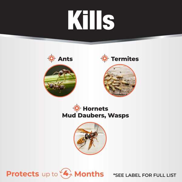 Revenge Termite and Carpenter Ant Killer Ready-To-Use 1-Gallon