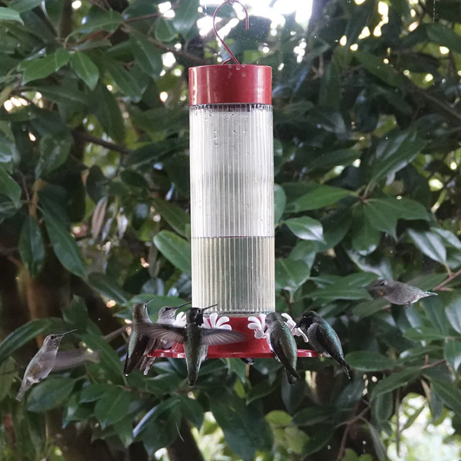 Nature's Way Ribbed Rose Glass Gravity Hummingbird Feeder