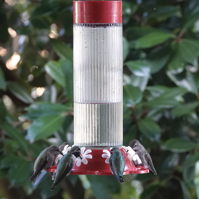 Nature's Way Ribbed Rose Glass Gravity Hummingbird Feeder