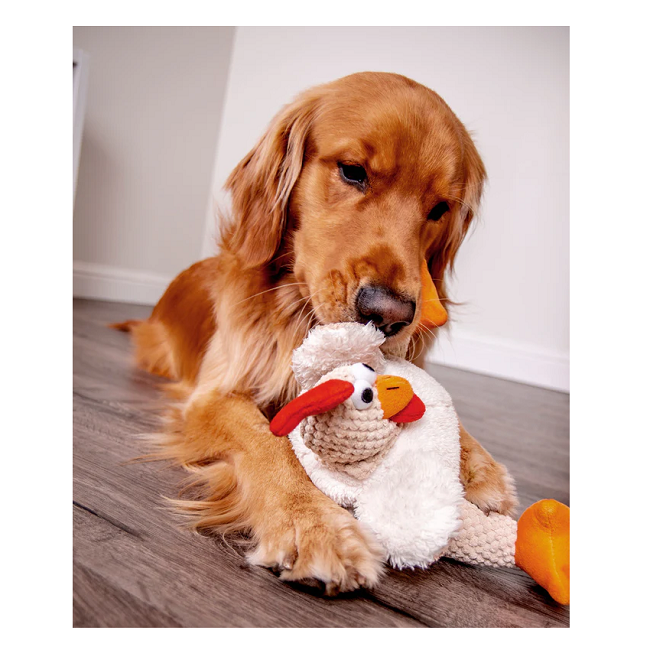 GODOG Checkers Sitting Rooster