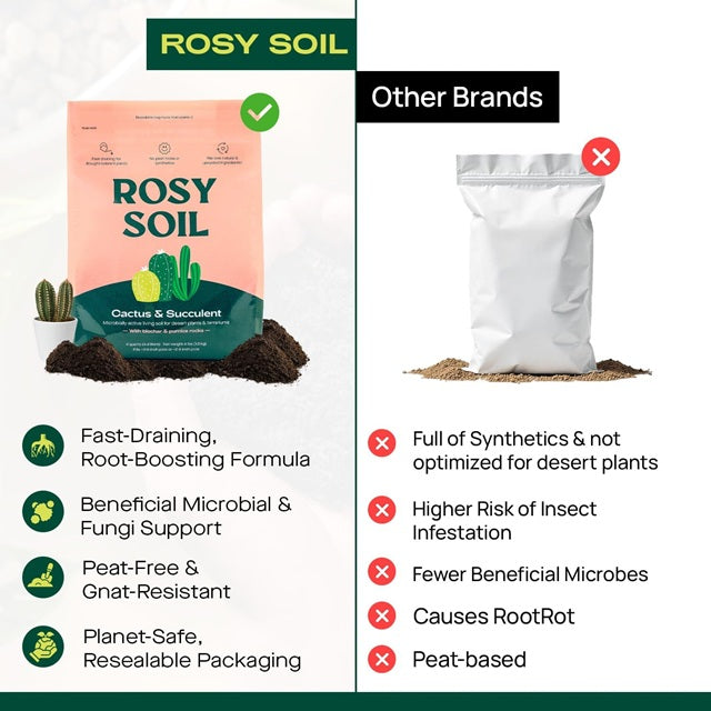 where to buy succulent potting soil Rosy Soil Cactus & Succulent Mix, 4 qt