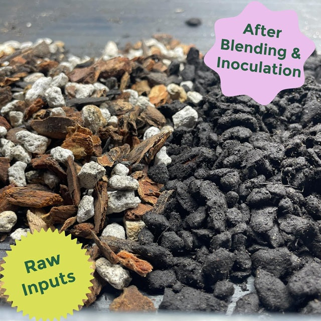 ace cactus soil Rosy Soil Cactus & Succulent Mix, 4 qt