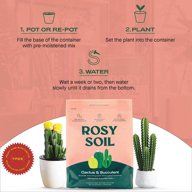 fox farm succulent and cactus soil Rosy Soil Cactus & Succulent Mix, 4 qt