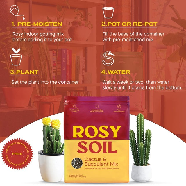 Rosy Soil Cactus & Succulent Mix, 4 qt.