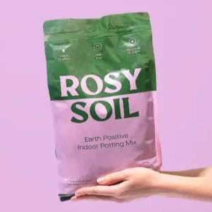 Rosy Soil Indoor Houseplant Potting Mix, 4 qt.