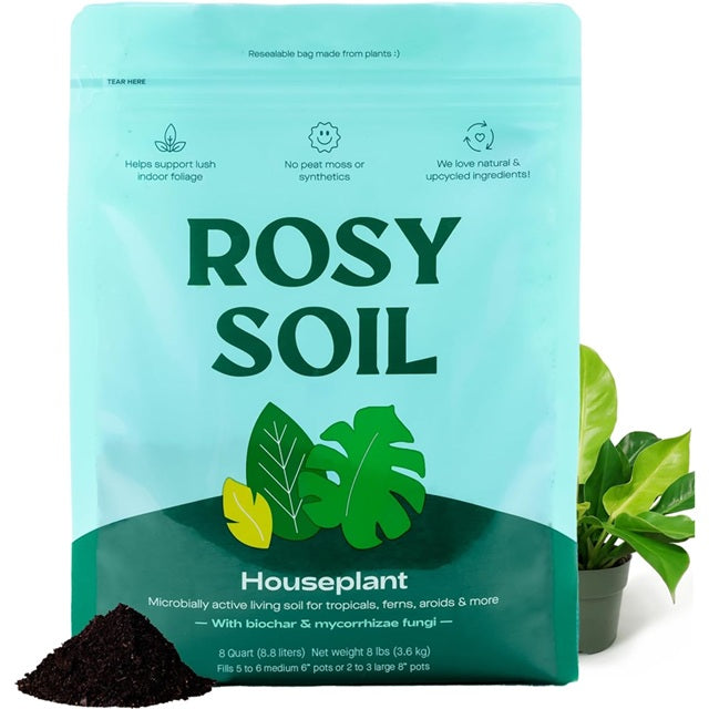 potting mix or potting soil for indoor plants Rosy Soil Houseplant Potting Soil