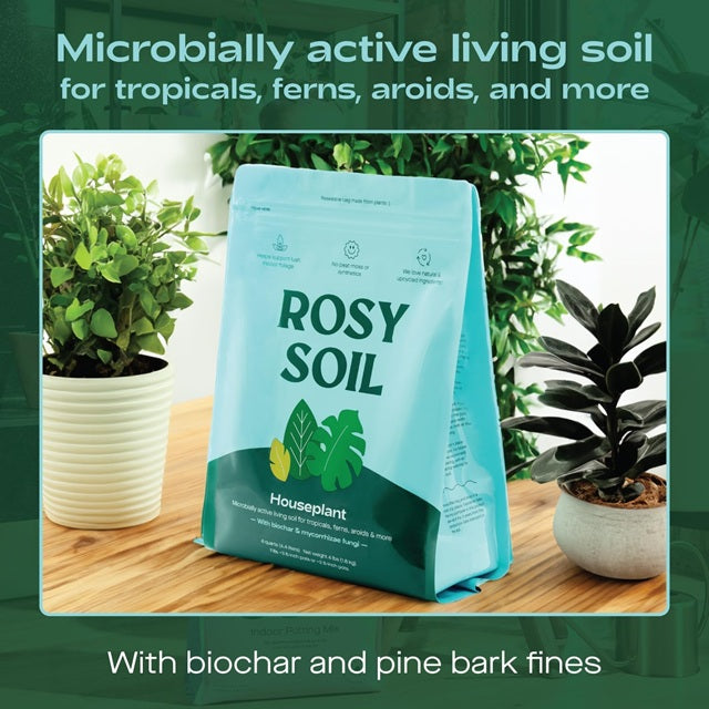 buy indoor plant soil Rosy Soil Houseplant Potting Soil
