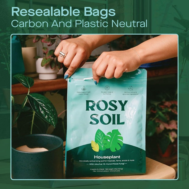 small bag of indoor plant soil Rosy Soil Houseplant Potting Soil