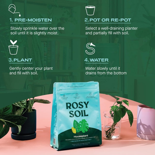 well drained soil potting mix Rosy Soil Houseplant Potting Soil