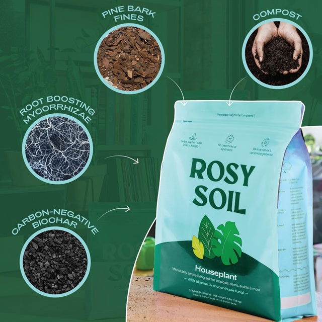 top soil potting mix Rosy Soil Houseplant Potting Soil