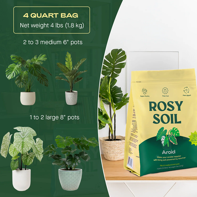 Rosy Soil Indoor Aroid Soil Potting Mix 4 qt