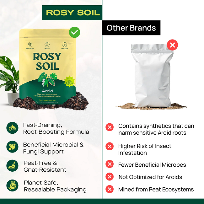 Rosy Soil Indoor Aroid Soil Potting Mix 4 qt