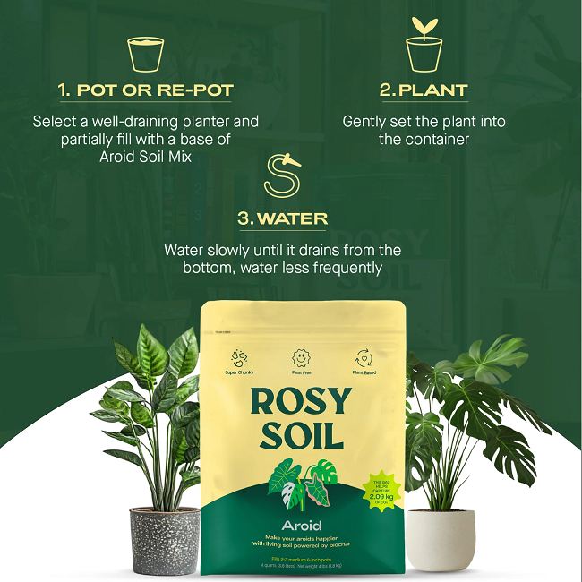 Rosy Soil Indoor Aroid Soil Potting Mix 4 qt