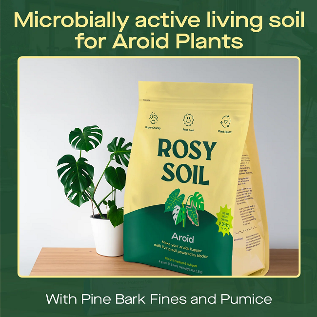 Rosy Soil Indoor Aroid Soil Potting Mix 4 qt