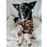 Ruff & Whiskerz Mammalz Dog Toys, Assorted